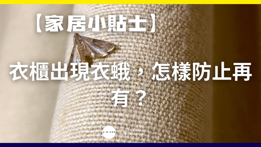 【家居小貼士】衣櫃出現衣蛾,怎樣防止再有?