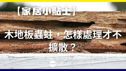 【家居小貼士】木地板蟲蛀,怎樣處理才不擴散?