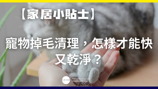 【家居小貼士】寵物掉毛清理,怎樣才能快又乾淨?