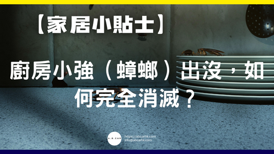 【家居小貼士】廚房小強(蟑螂)出沒,如何完全消滅?
