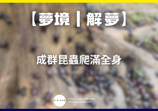 【夢境|解夢】成群昆蟲爬滿全身|編:雲依情