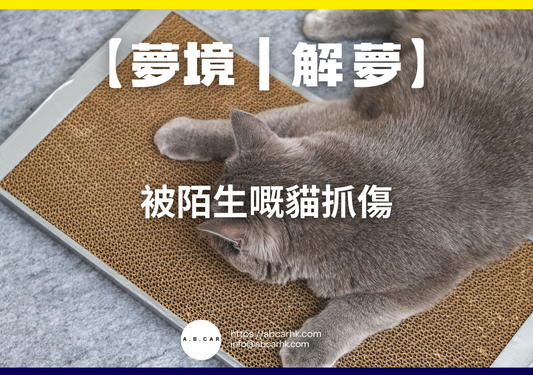 【夢境|解夢】被陌生嘅貓抓傷|編:雲依情