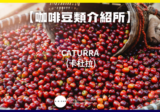 【咖啡豆類介紹所】Caturra (卡杜拉)|編:Mark Ma
