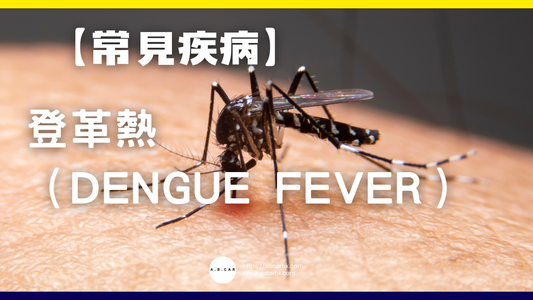 【常見疾病】登革熱(Dengue Fever)