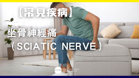 【常見疾病】坐骨神經痛(SCIATIC NERVE)