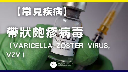 【常見疾病】帶狀皰疹病毒(Varicella Zoster Virus, VZV)
