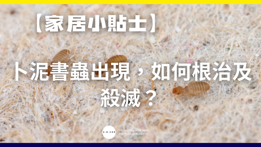 【家居小貼士】卜泥書蟲出現,如何根治及殺滅?