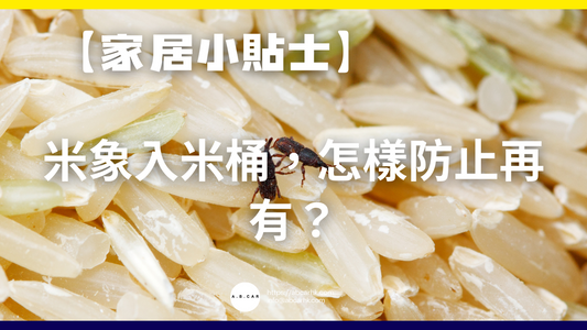 【家居小貼士】米象入米桶,怎樣防止再有?