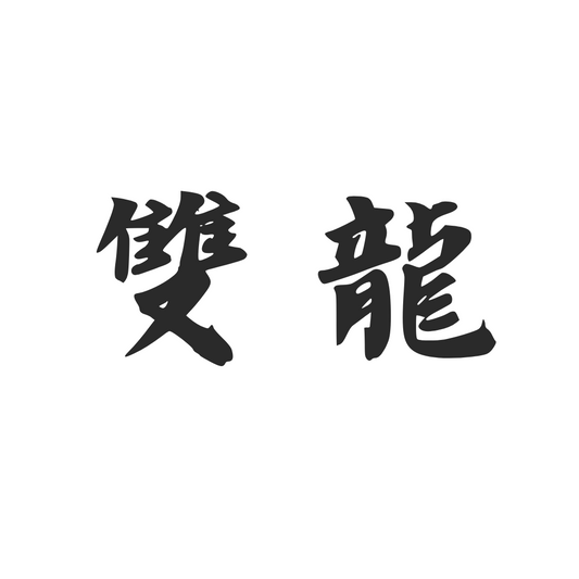 【車廠介紹】雙龍 SSANGYONG