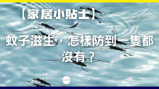 【家居小貼士】蚊子滋生,怎樣防到一隻都沒有?