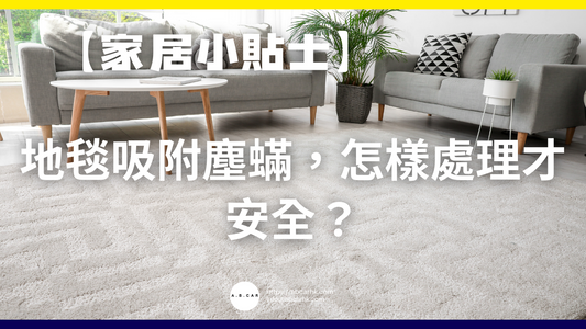 【家居小貼士】地毯吸附塵蟎,怎樣處理才安全?