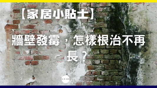 【家居小貼士】牆壁發霉,怎樣根治不再長?