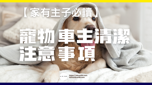 【家有主子必讀】有養寵物嘅車主清潔注意事項