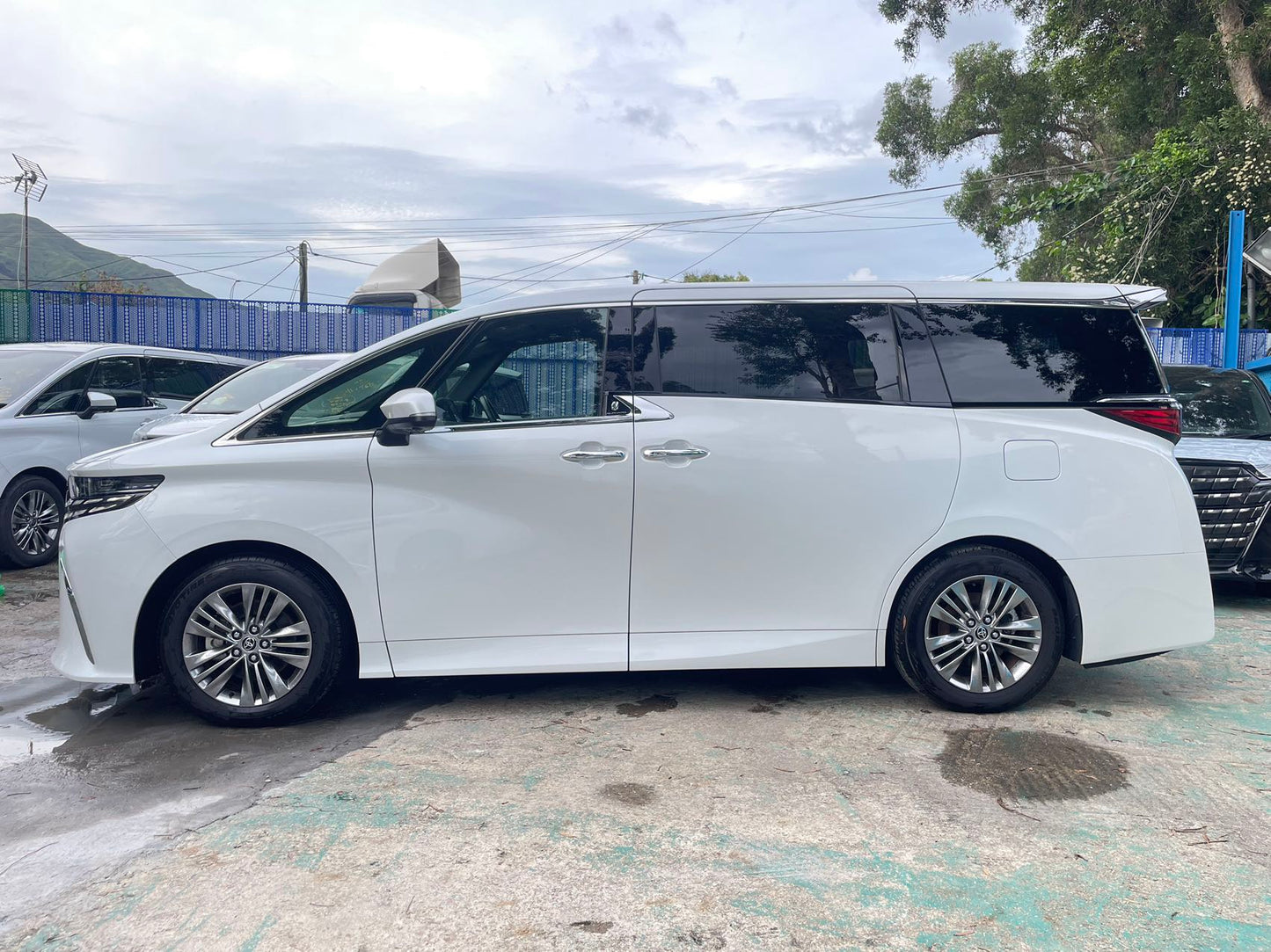 ALPHARD (Y'2024 O'0 KM'1,035 WHITE AT)
