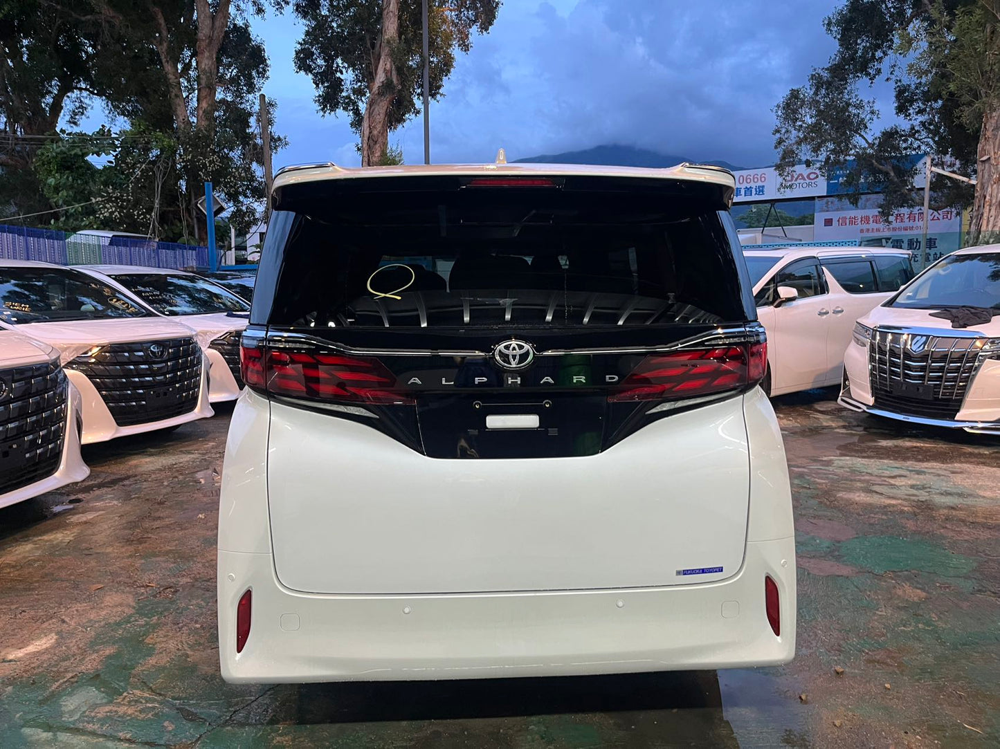 ALPHARD (Y'2024 O'0 KM'5,279 WHITE AT)
