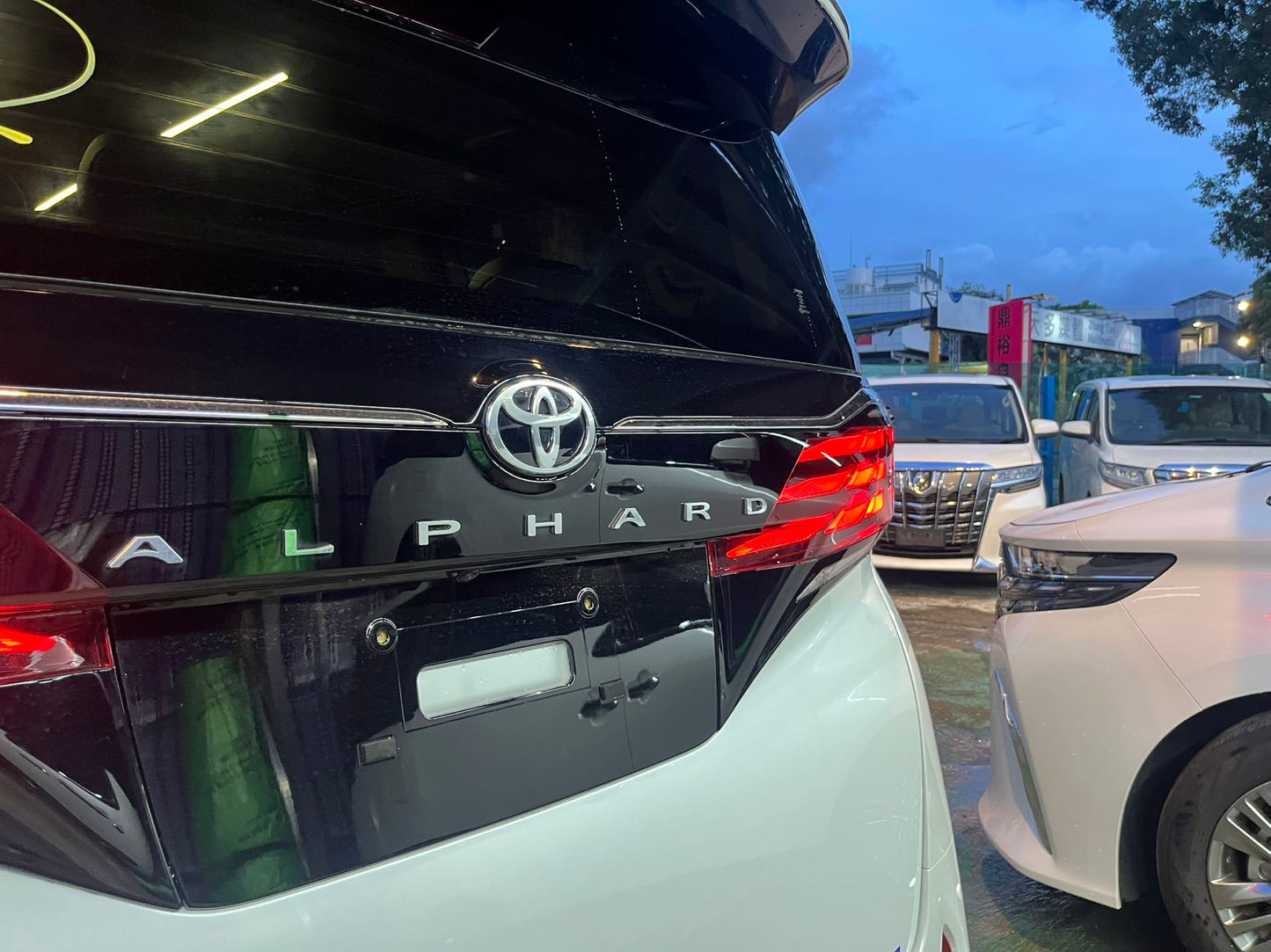 ALPHARD (Y'2024 O'0 KM'5,279 WHITE AT)