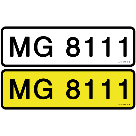 MG 8111
