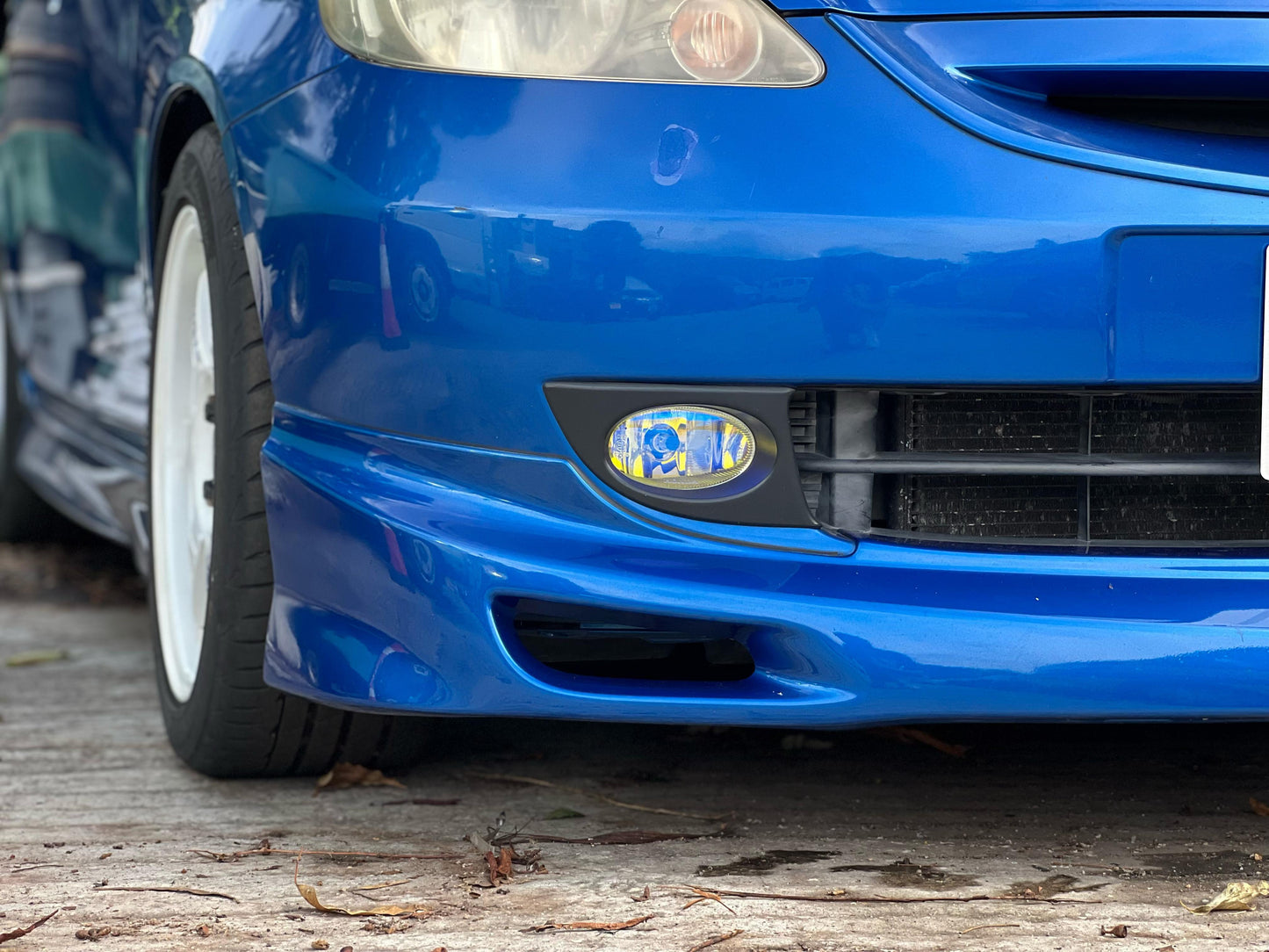 FIT (Y'2007 O'1 BLUE MT)