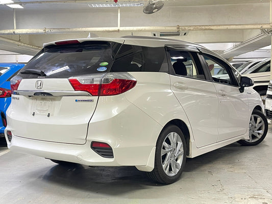 SHUTTLE HYBRID Z STYLE GP7 (Y'2017 WHITE AT)