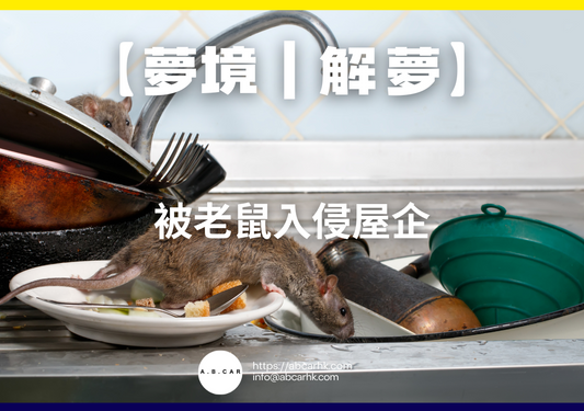 【夢境｜解夢】被老鼠入侵屋企｜編：雲依情