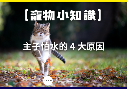【寵物小知識】主子怕水的 4 大原因
