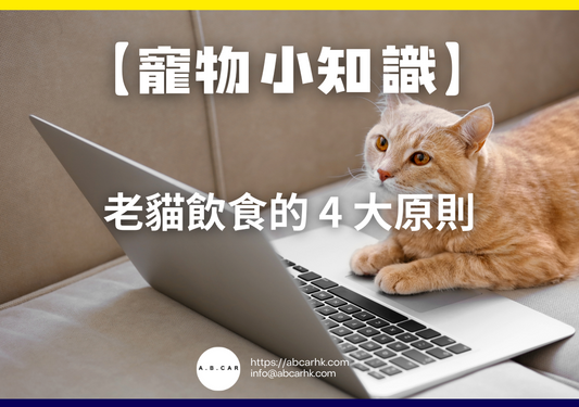【寵物小知識】老貓飲食的 4 大原則