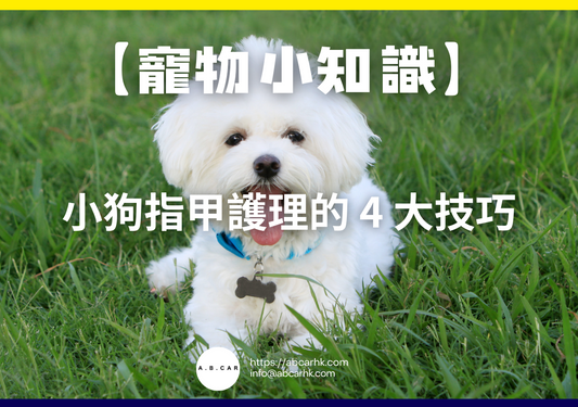 【寵物小知識】小狗指甲護理的 4 大技巧