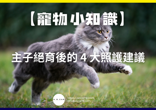【寵物小知識】主子絕育後的 4 大照護建議