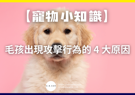 【寵物小知識】毛孩出現攻擊行為的 4 大原因