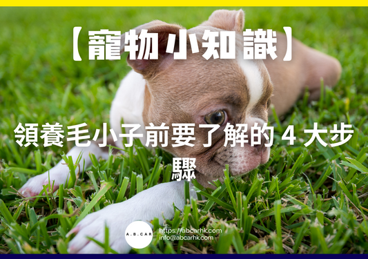 【寵物小知識】領養毛小子前要了解的 4 大步驟