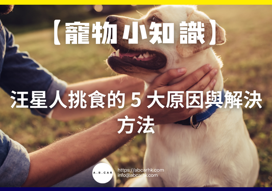 【寵物小知識】汪星人挑食的 5 大原因與解決方法
