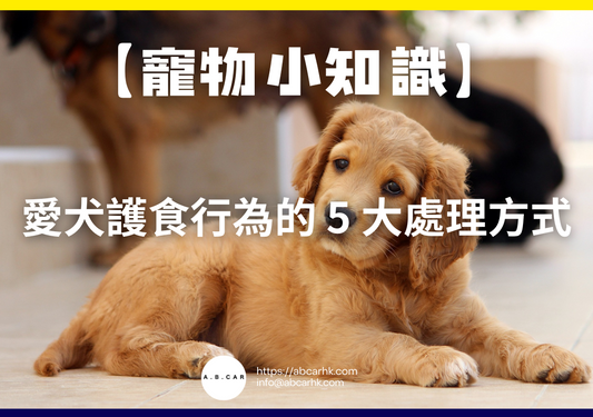 【寵物小知識】愛犬護食行為的 5 大處理方式