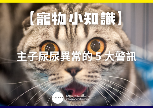 【寵物小知識】主子尿尿異常的 5 大警訊