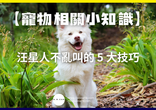 【寵物相關小知識】汪星人不亂叫的 5 大技巧