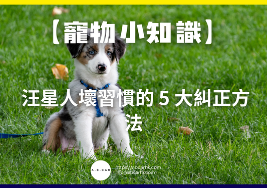 【寵物小知識】 汪星人壞習慣的 5 大糾正方法