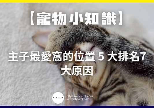 【寵物小知識】主子最愛窩的位置 5 大排名