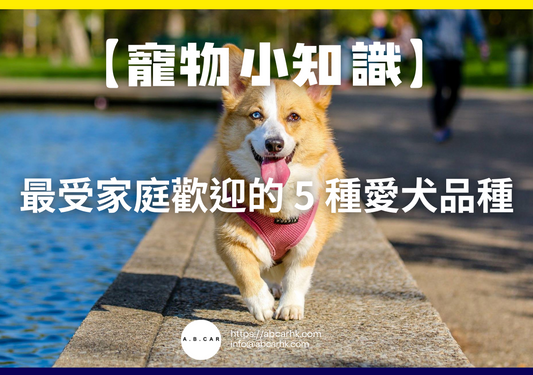 【寵物小知識】最受家庭歡迎的 5 種愛犬品種