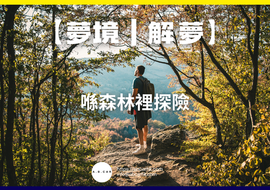 【夢境｜解夢】喺森林裡探險｜編：雲依情