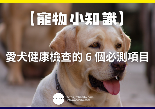 【寵物小知識】愛犬健康檢查的 6 個必測項目
