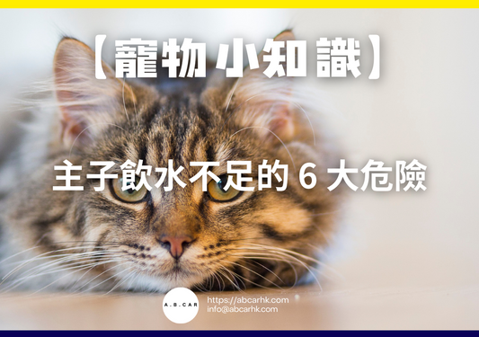 【寵物小知識】主子飲水不足的 6 大危險