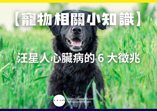 【寵物相關小知識】汪星人心臟病的 6 大徵兆