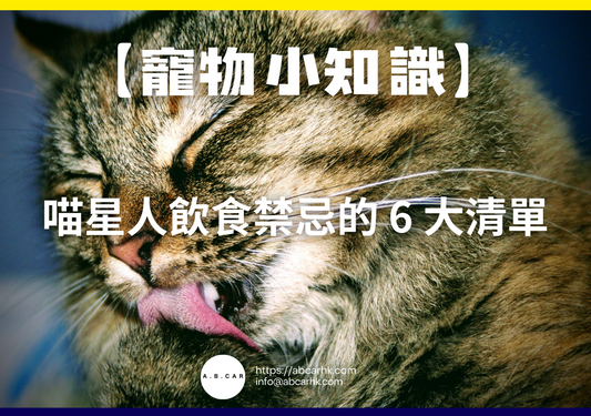 【寵物小知識】喵星人飲食禁忌的 6 大清單