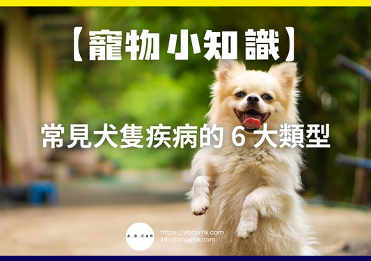 【寵物小知識】常見犬隻疾病的 6 大類型