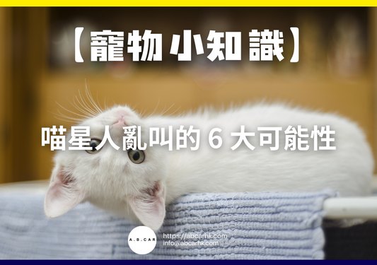 【寵物小知識】喵星人亂叫的 6 大可能性