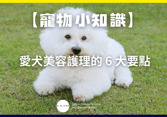【寵物小知識】愛犬美容護理的 6 大要點