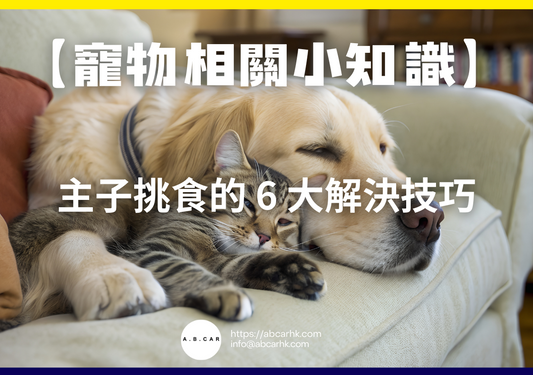 【寵物相關小知識】主子挑食的 6 大解決技巧
