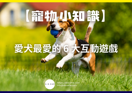 【寵物小知識】愛犬最愛的 6 大互動遊戲