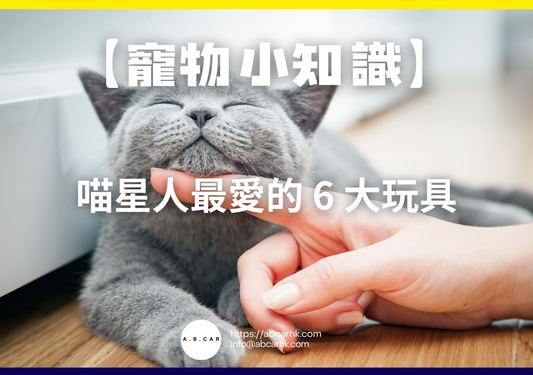【寵物小知識】喵星人最愛的 6 大玩具