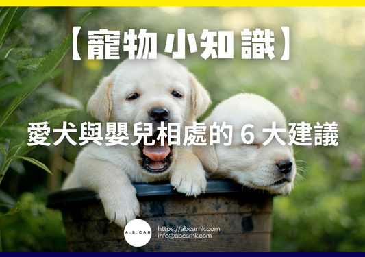 【寵物小知識】愛犬與嬰兒相處的 6 大建議