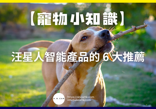 【寵物小知識】汪星人智能產品的 6 大推薦